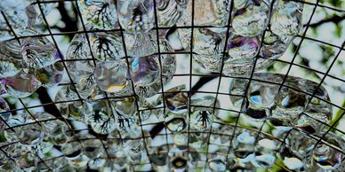 Close-up of a glass mosaic ceiling with reflections and tree silhouettes.