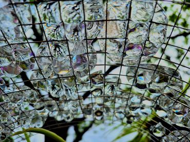 Water droplets on a wire grid reflecting trees and sky.