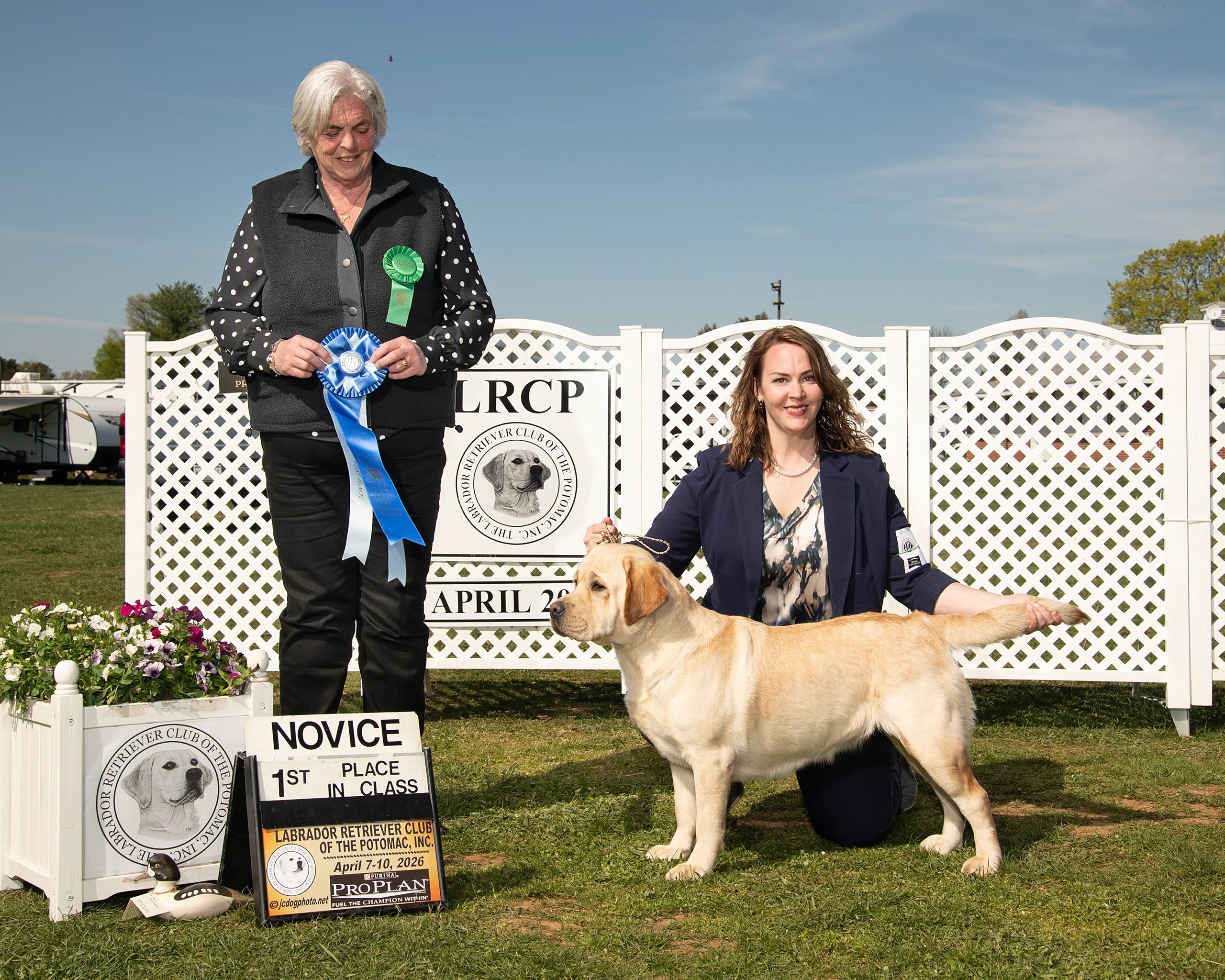 Woman judge and handler with a winning Labrador at a dog show outdoors.