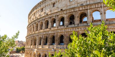 The ancient Colosseum in Rome bathed in sunlight with greenery in the foreground.