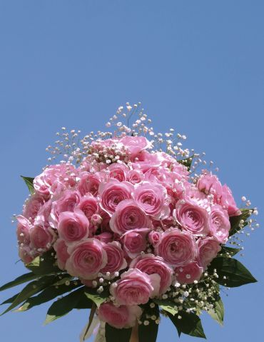 A bouquet of pink roses against a clear blue sky.