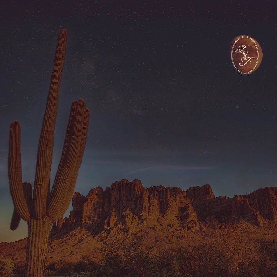 Desert landscape with cactus and starry night sky.