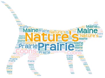 Nature's Prairie Maine Coons