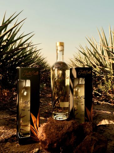 Three bottles of JodCuba tequila displayed among agave plants in a field.