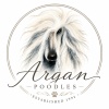 Argan Poodles