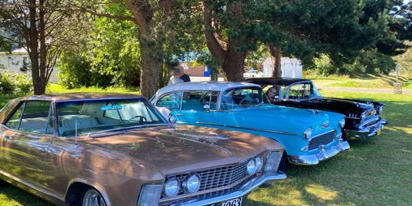 Three classic cars parked in a row under trees on a sunny day.