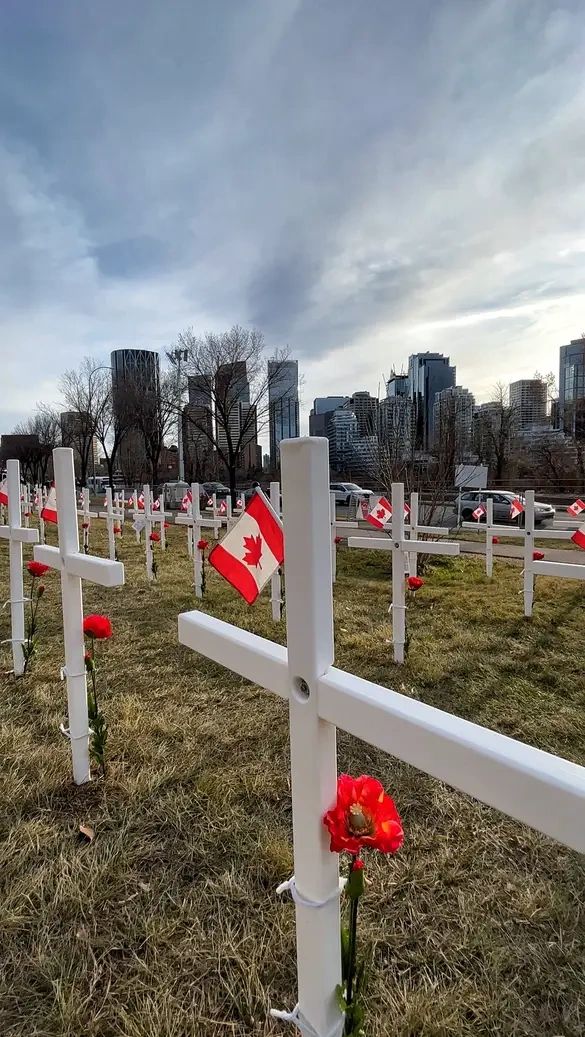 7 Remembrance Day Events in Calgary