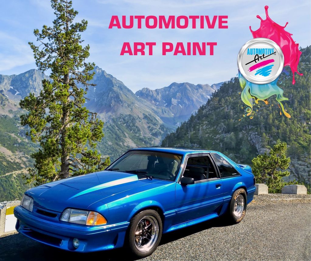 Automotive Art Paint/Medallion Clearcoat
