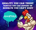 Rooster's Automotive Refinishes, LLC