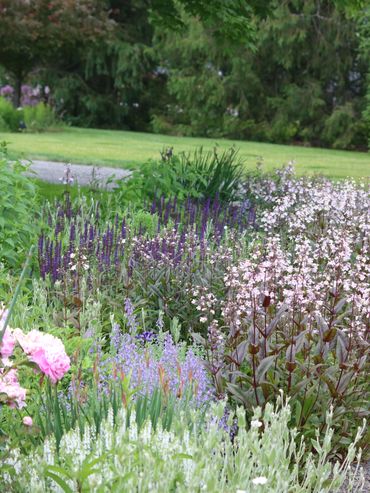 A colorful garden with various blooming flowers and greenery.