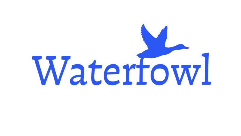 Waterfowl Marketing's Logo