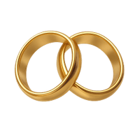 Instant Marriage