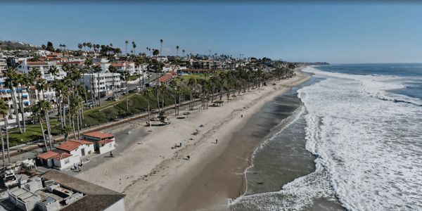 A sunny beach with palm trees and waves crashing on the shore.