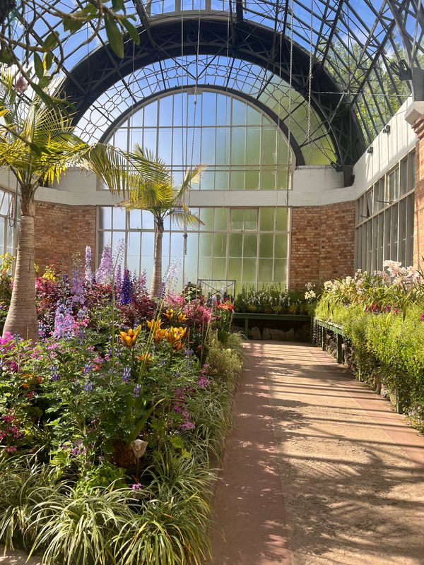 Sunlit wintergreen greenhouse, Auckland Domain, with lush plants and palm trees.