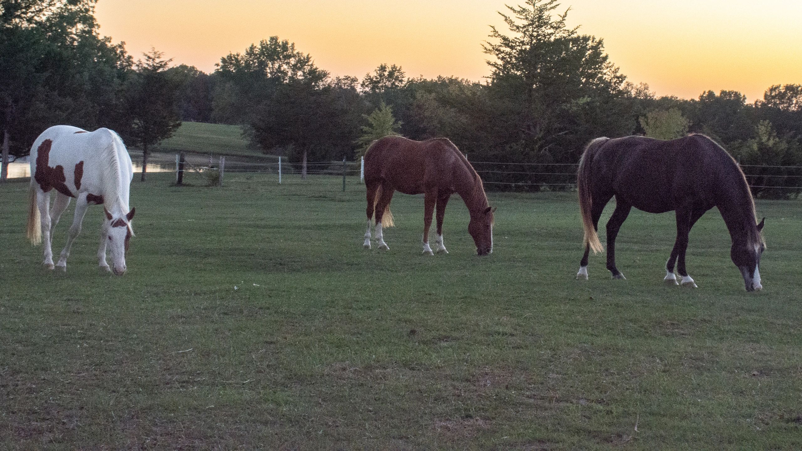 Explore Double Hearts Ranch: Equestrian Camping & Events