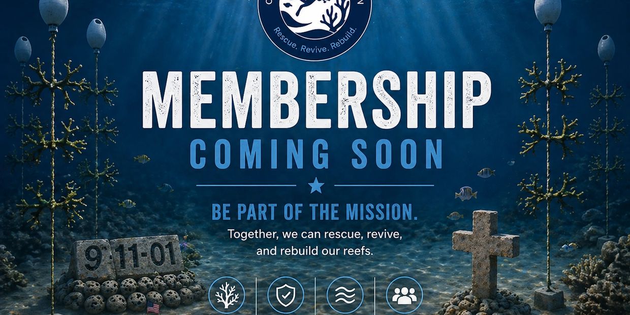 Underwater coral reef restoration membership announcement coming soon.
