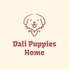 REALITY PAWS KENNELS