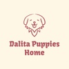 REALITY PAWS KENNELS