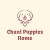 REALITY PAWS KENNELS