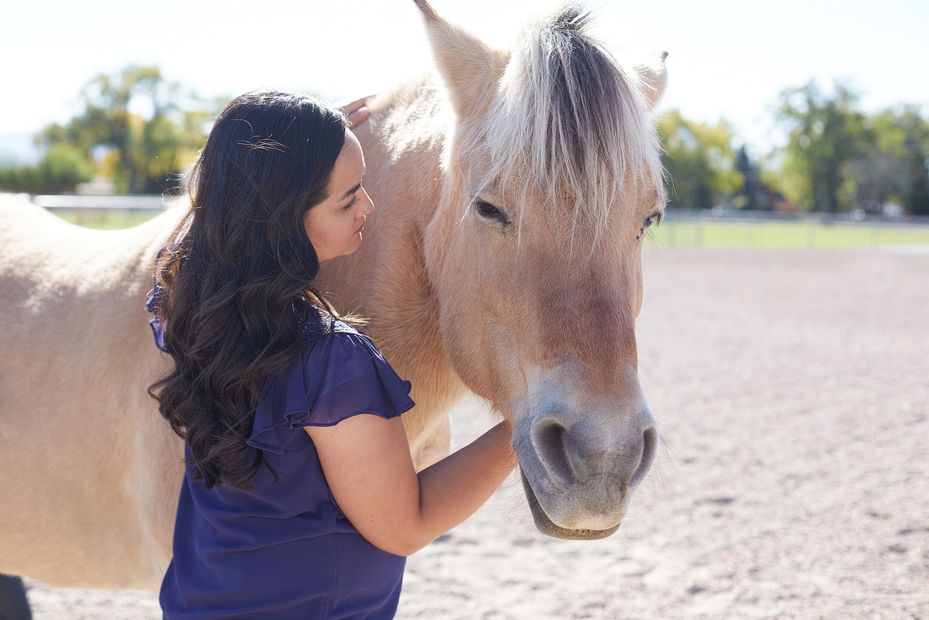 LEAD Equine Assisted Psychotherapy, Counseling