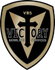 Victory Bowling Services LLC