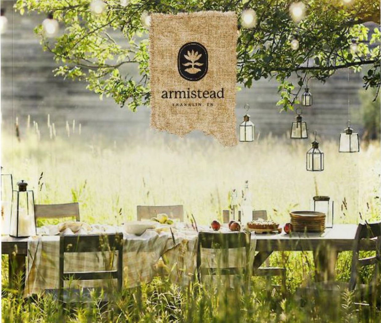 Outdoor dining setup with hanging lanterns and rustic decor in a meadow.