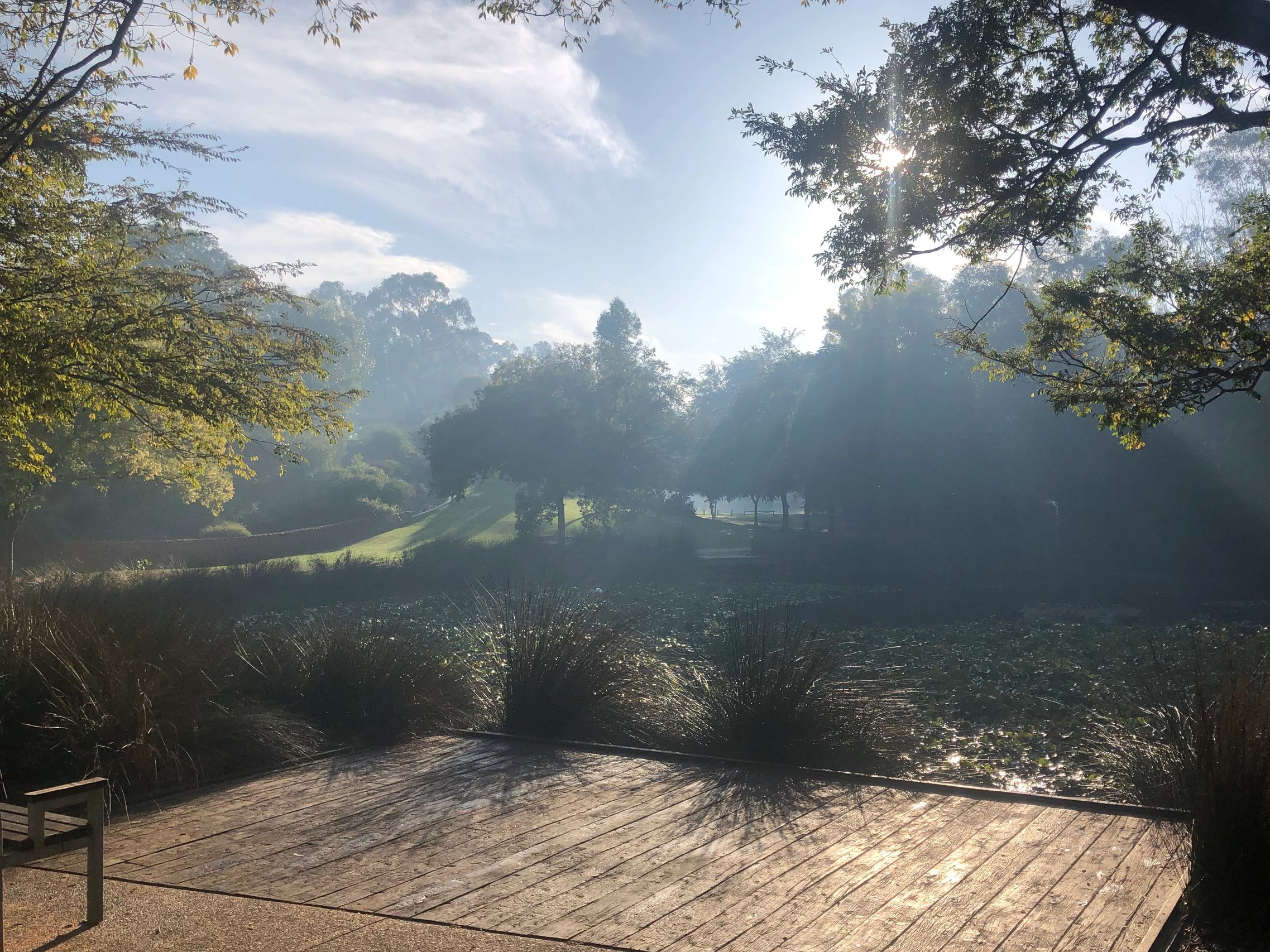 A misty morning overlooking a lake