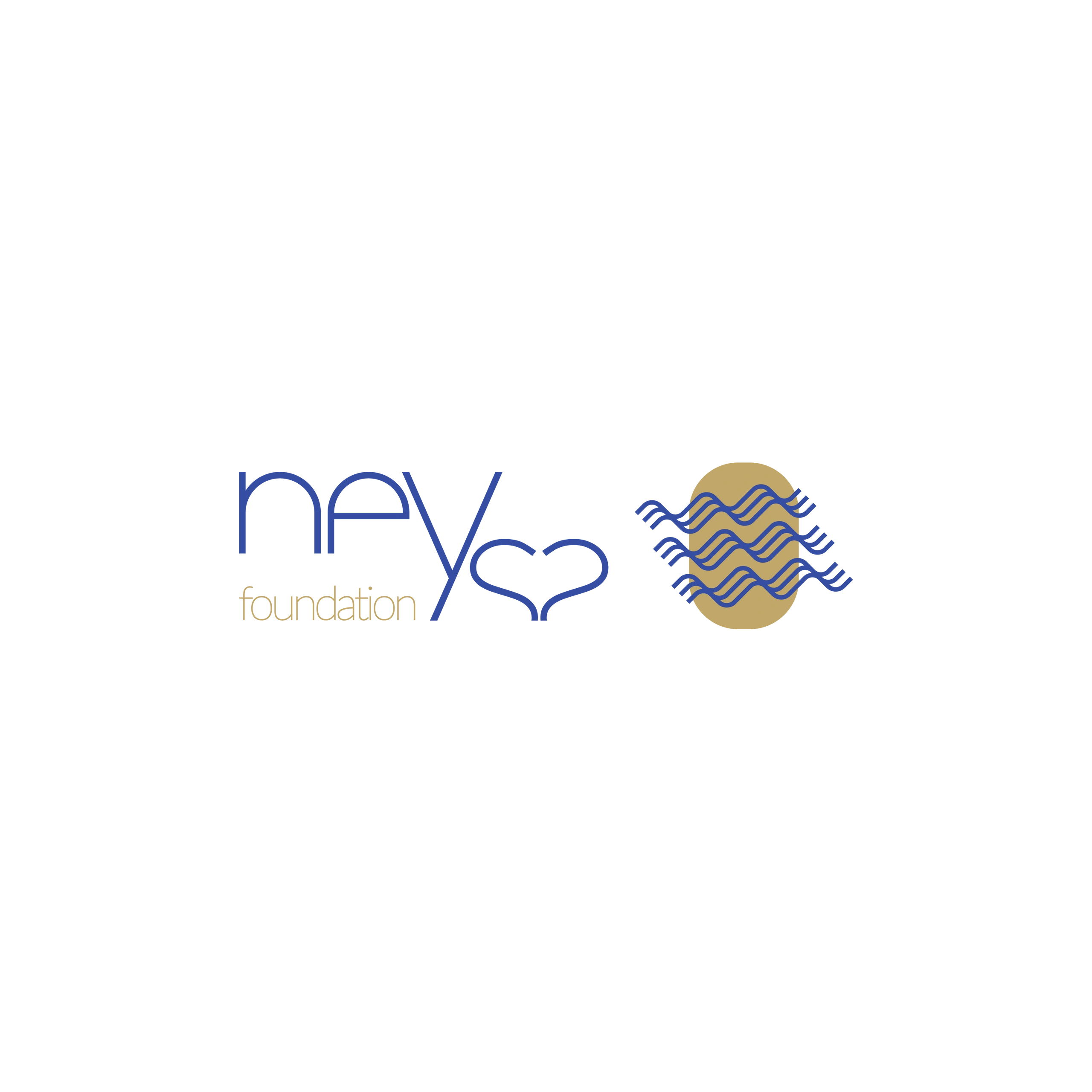 Helping Charities Neysa foundation