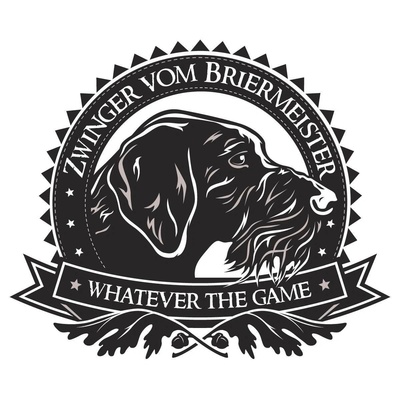 vom Briermeister Drahthaars

