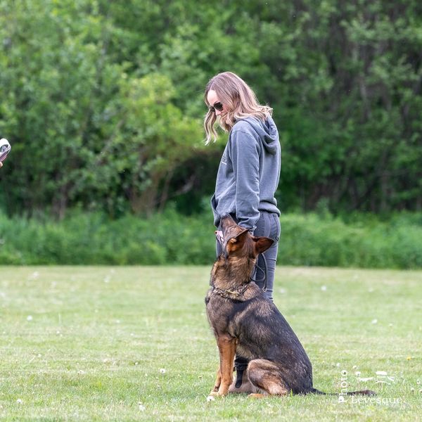 Arwen and I in a dog training competition.