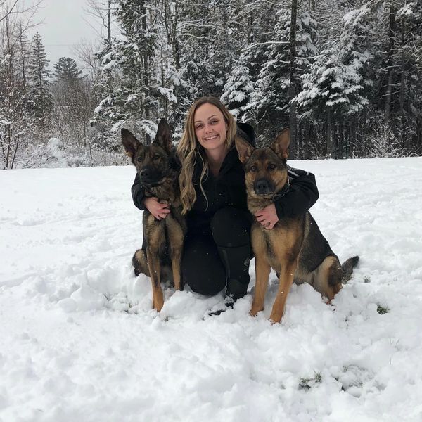 My personal dogs, Arwen and Georgie, that I am doing obedience training with.