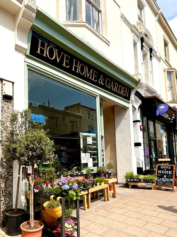 Hove Home & Garden store with plants and flowers displayed outside on a sunny day.