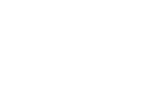 Frontier Custom Audio