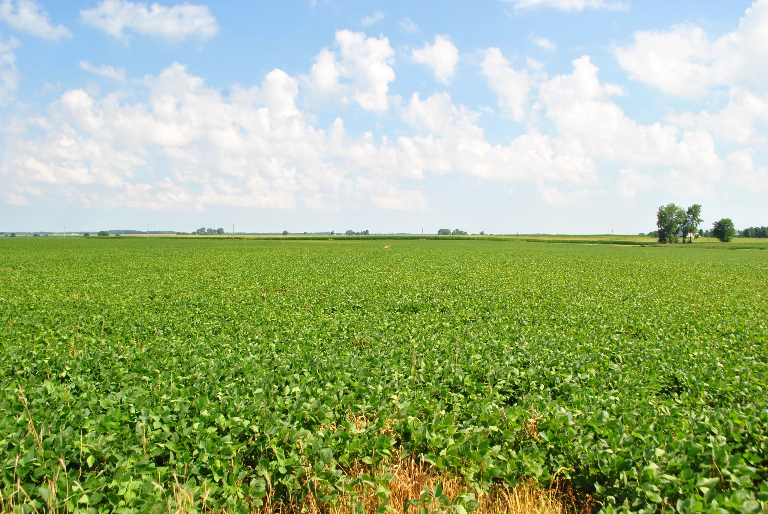 Tippecanoe County Soil & Water Conservation District Home