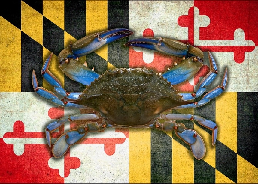 md native seafood