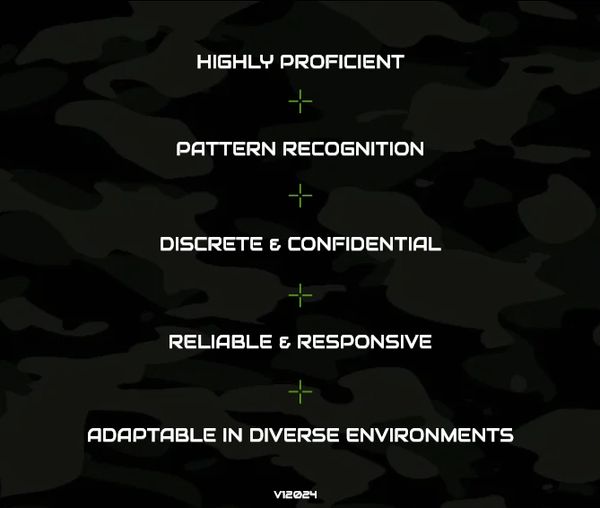 AZ3i qualities- proficient, pattern recognition, discreet, reliable, adaptable, and confidential.