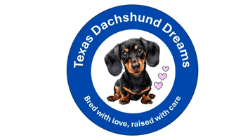 Dachshund Dynasty