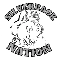 SILVERBACKNATION1.ORG