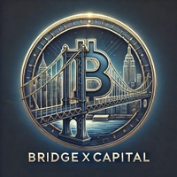 Bridge X Capital