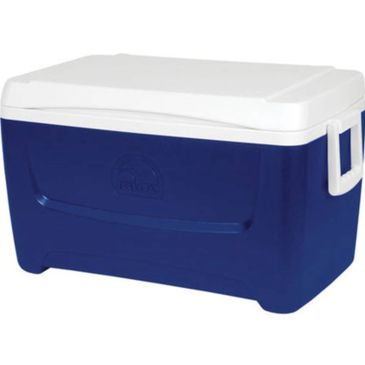 Blue and white Igloo cooler with handles.