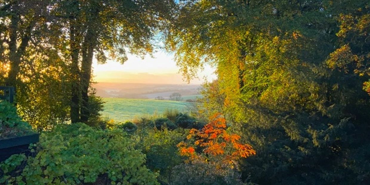 Sunset over green fields framed by autumn trees with vibrant leaves.
