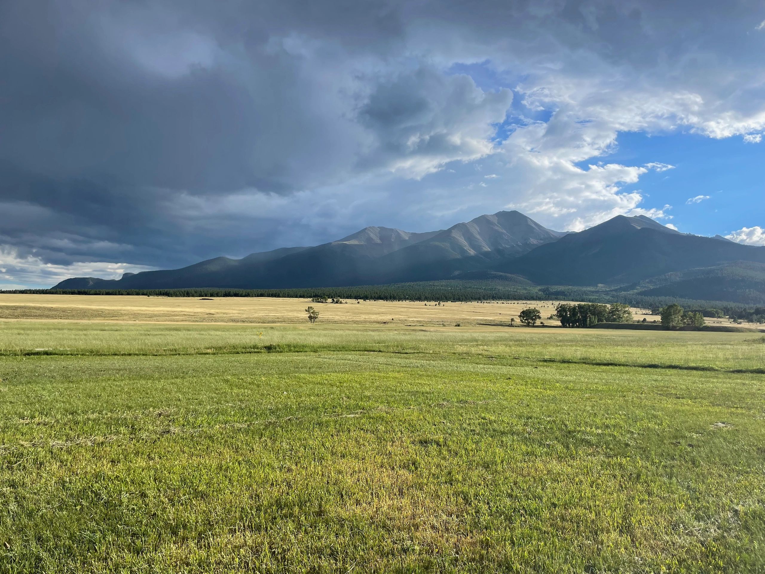 Greenfield Ranch Co.