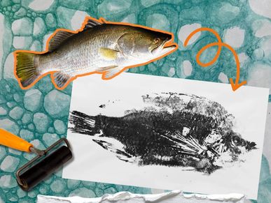 Fish and its ink print on paper.