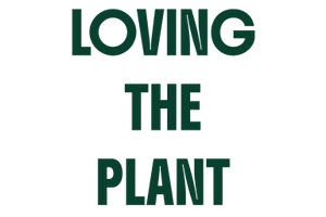Loving The Plant