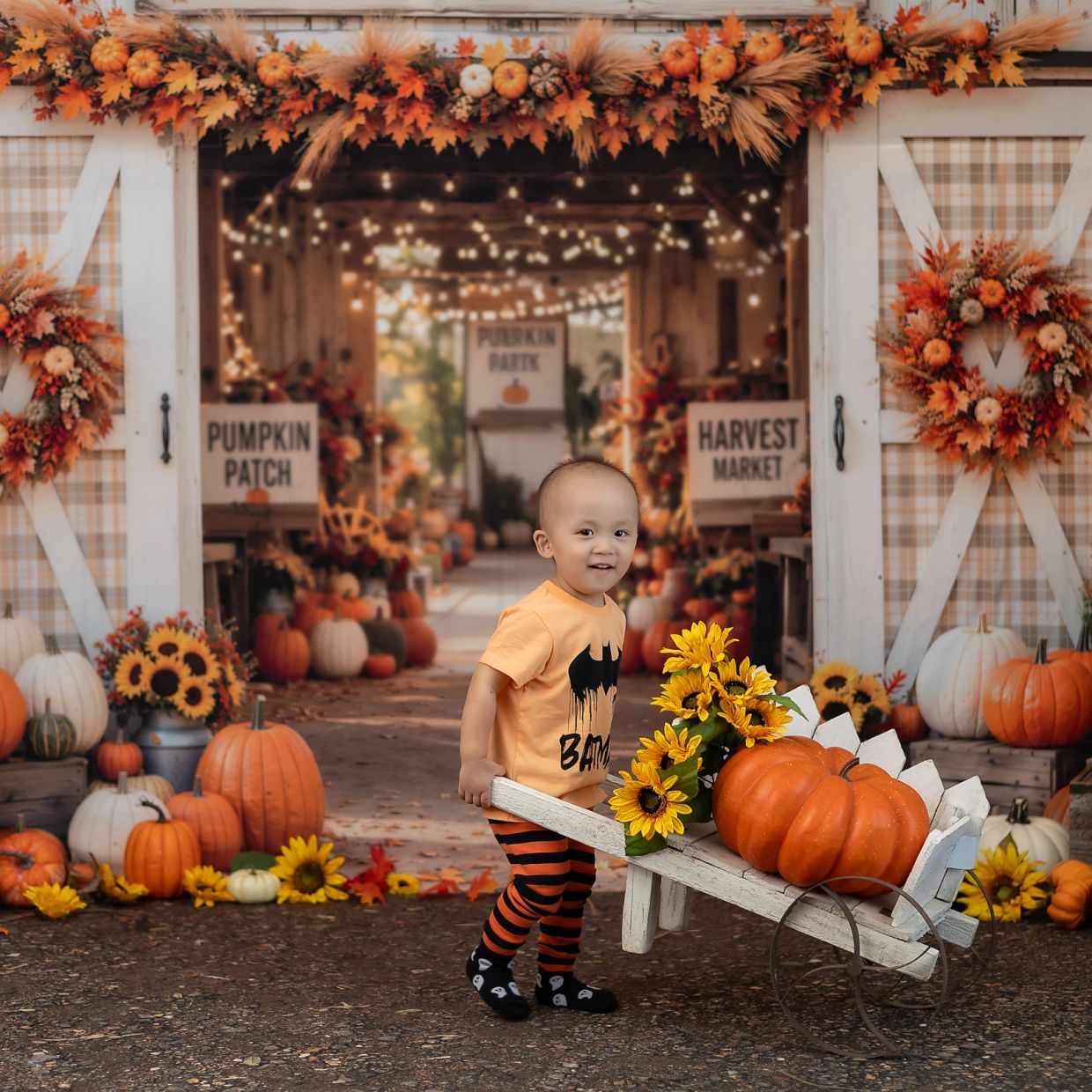 Toddler with a wheelbarrow of pumpkins at a fall-themed pumpkin patch.