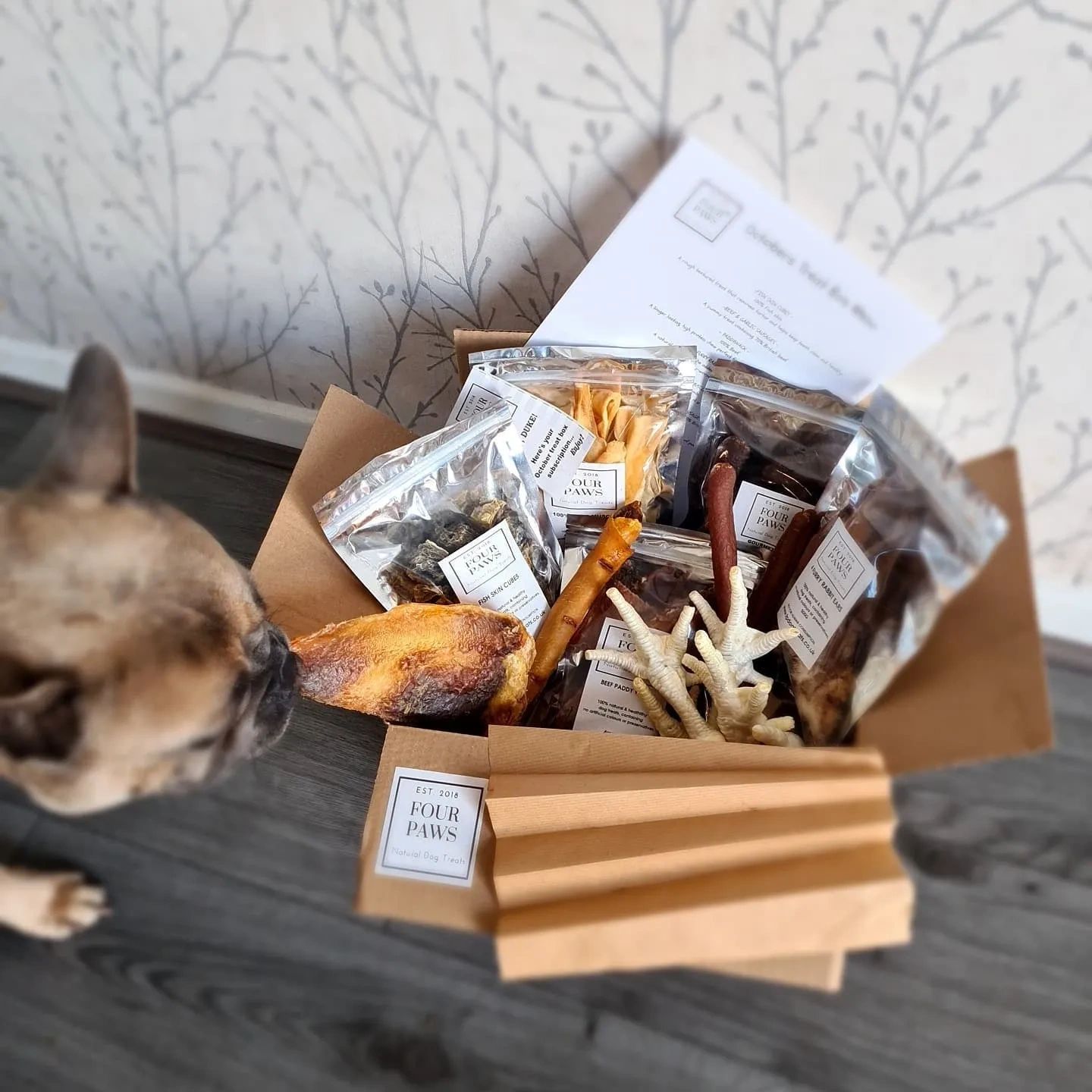 Four Paws treats and chews for dogs