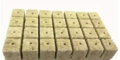 Rockwool cubes, starter cubes.