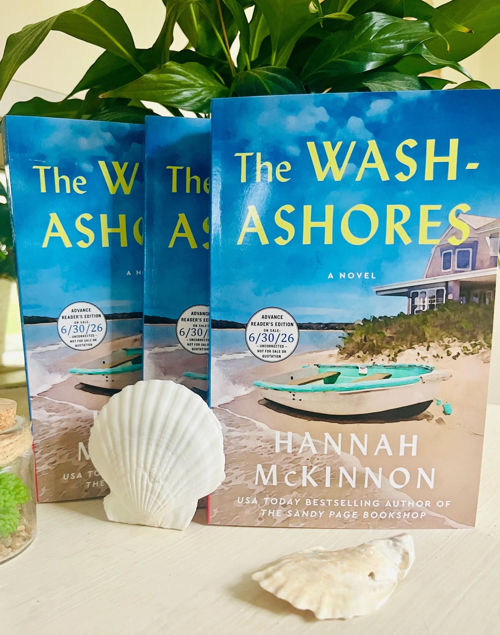 Three copies of "The Washashores" book with seashells and green plant in the background.