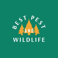 Best Pest and Wildlife Services