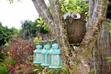 Owl and lanterns